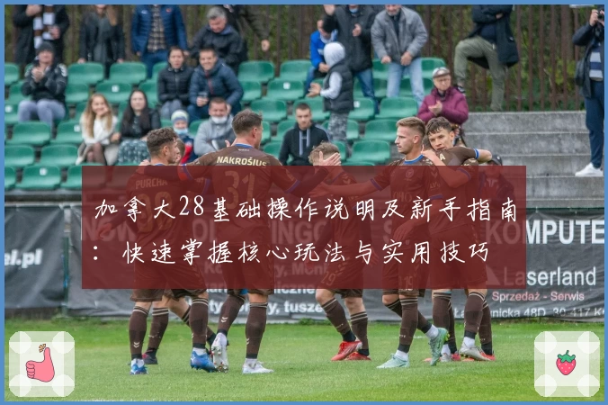 加拿大28基础操作说明及新手指南:快速掌握核心玩法与实用技巧