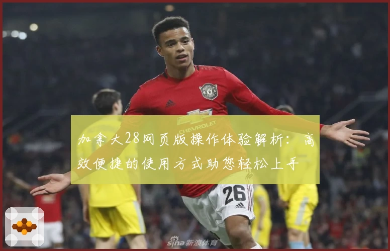 加拿大28网页版操作体验解析:高效便捷的使用方式助您轻松上手