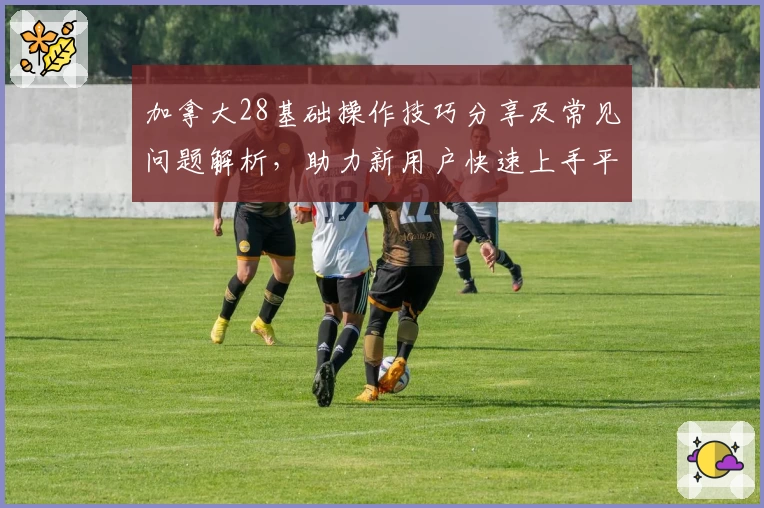 加拿大28基础操作技巧分享及常见问题解析，助力新用户快速上手平台功能