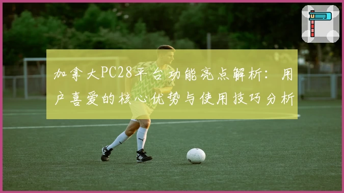 加拿大PC28平台功能亮点解析:用户喜爱的核心优势与使用技巧分析