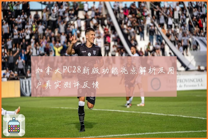 加拿大PC28新版功能亮点解析及用户真实测评反馈