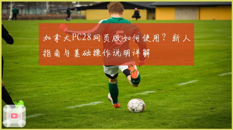 加拿大PC28网页版如何使用?新人指南与基础操作说明详解