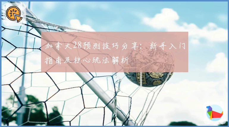加拿大28预测技巧分享：新手入门指南及核心玩法解析