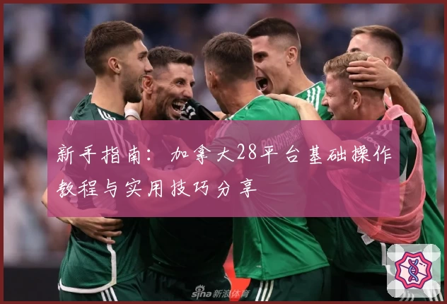 新手指南：加拿大28平台基础操作教程与实用技巧分享