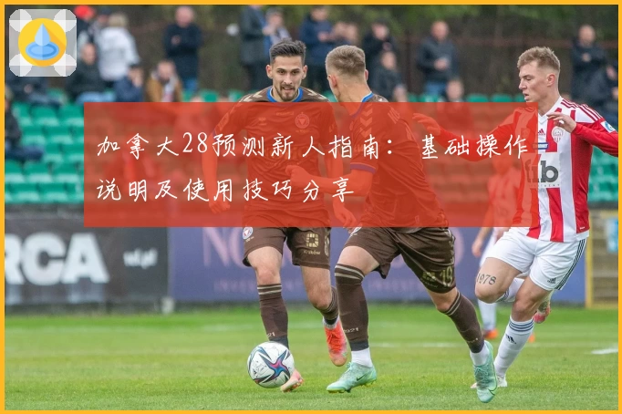 加拿大28预测新人指南：基础操作说明及使用技巧分享