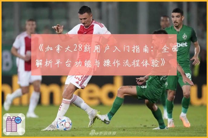 《加拿大28新用户入门指南：全面解析平台功能与操作流程体验》