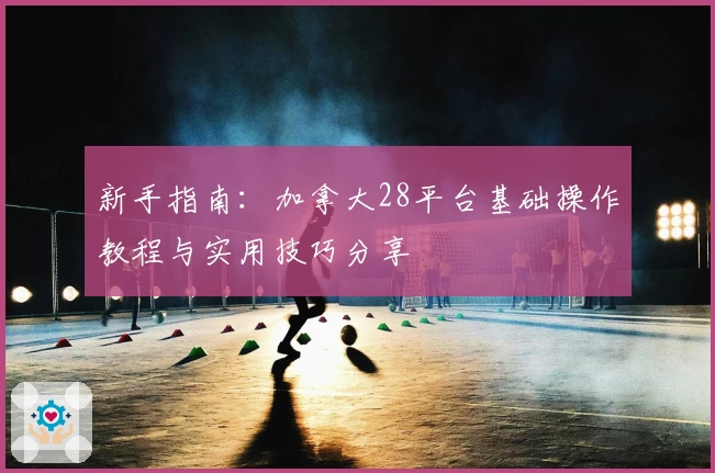 新手指南：加拿大28平台基础操作教程与实用技巧分享