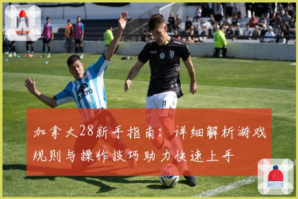 加拿大28新手指南：详细解析游戏规则与操作技巧助力快速上手