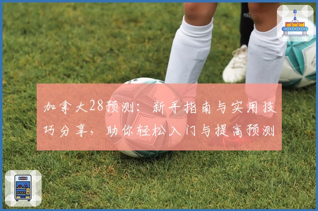 加拿大28预测：新手指南与实用技巧分享，助你轻松入门与提高预测准确率