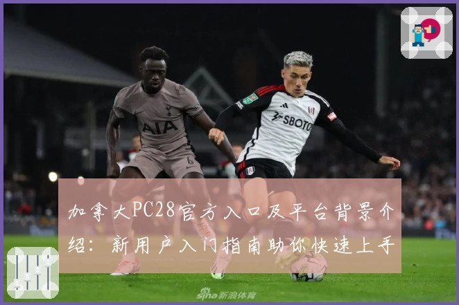 加拿大PC28官方入口及平台背景介绍：新用户入门指南助你快速上手