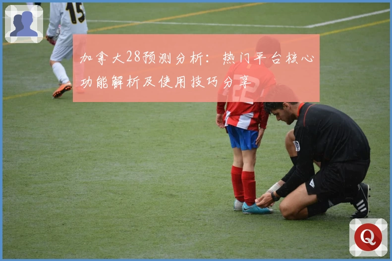 加拿大28预测分析：热门平台核心功能解析及使用技巧分享