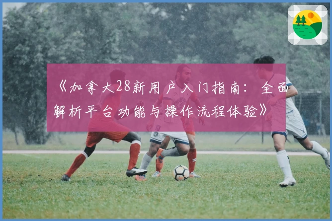 《加拿大28新用户入门指南：全面解析平台功能与操作流程体验》