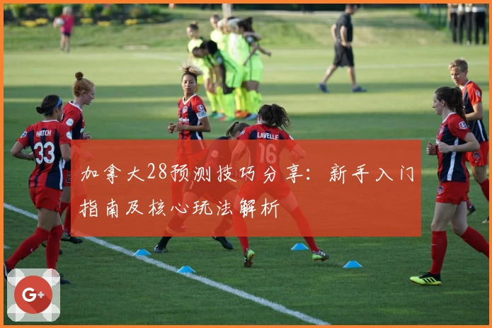 加拿大28预测技巧分享：新手入门指南及核心玩法解析